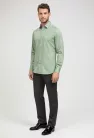 Zöld  semi eukaliptusz Ares Eukaliptusz 40