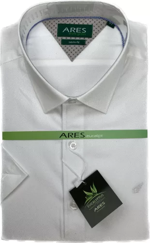 Fehér  semi eukaliptusz Ares Eukaliptusz 43